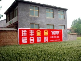 新密如何让墙体广告展现最大化效果