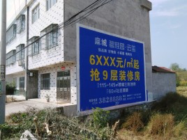 新密墙体广告质量分析