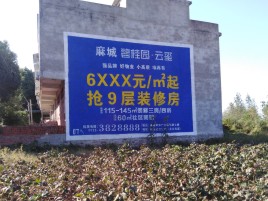 新密墙体广告的好处