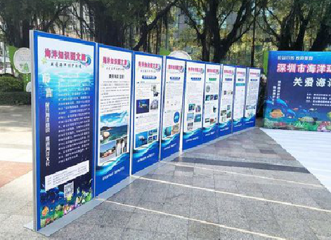 新密KT板的种类和知识。